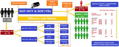 Emergence and Persistence of Resistance-Associated Substitutions in HCV GT3 Patients Failing Direct-Acting Antivirals